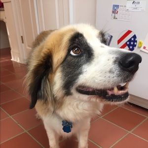 Meet your Posher, Ethan